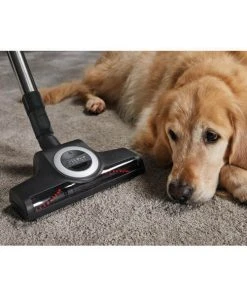 Miele Turbo-brosse TurboTeQ STB305-3 - Brosses D'aspirateur ⋅ Buses 7 Miele Turbo-brosse TurboTeQ STB305-3 - Brosses D'aspirateur ⋅ Buses -Kärcher Shop unnamed file 274