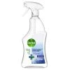 Dettol Nettoyant Désinfectant Standard 750 Ml - Détergents Universels -Kärcher Shop unnamed file 3296 scaled