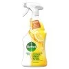 Dettol Nettoyant Tout Usage Parfum Citron Vert & Agrumes 750 Ml - Détergents Universels -Kärcher Shop unnamed file 3302 scaled