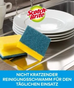 Éponge Scotch-Brite Délicat 12 Pièce/s - Éponge De Nettoyage -Kärcher Shop unnamed file 3839