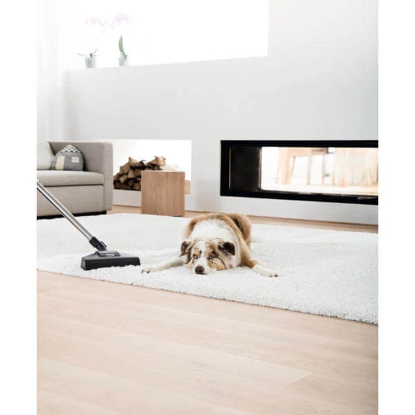 Miele Complete C3 Big CatDog - Aspirateur Avec Sac 4 Miele Complete C3 Big CatDog - Aspirateur Avec Sac – Image 2